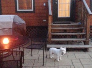 Tess Isn't Too Sure About This Whole Camping Deal